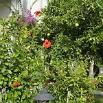 Hotel Sunlight Garden Side