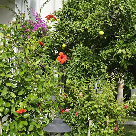 호텔 Sunlight Garden 시데