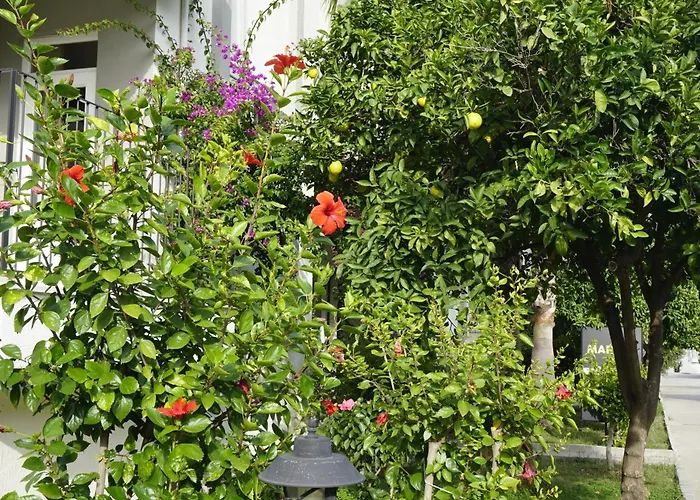 Hotel Sunlight Garden Side