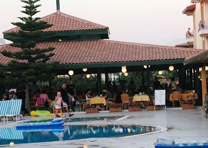 Sunlight Garden シダ