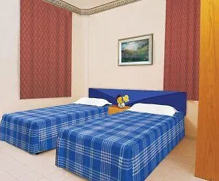 Sunlight Garden シダ