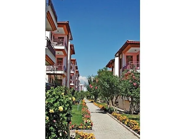 Sunlight Garden シダ